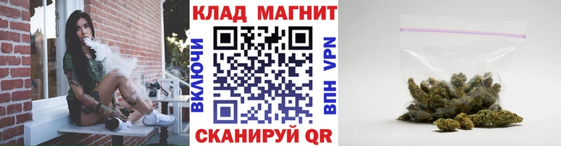 APVP Лермонтов