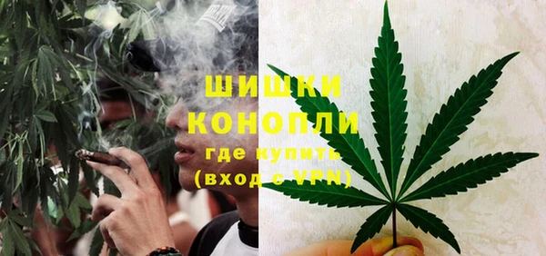 гашик Аркадак