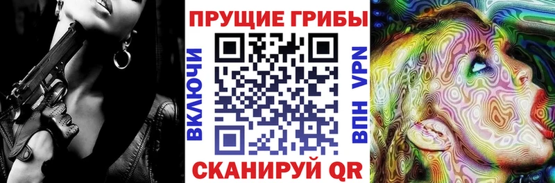 мега   Лермонтов  Псилоцибиновые грибы Magic Shrooms 
